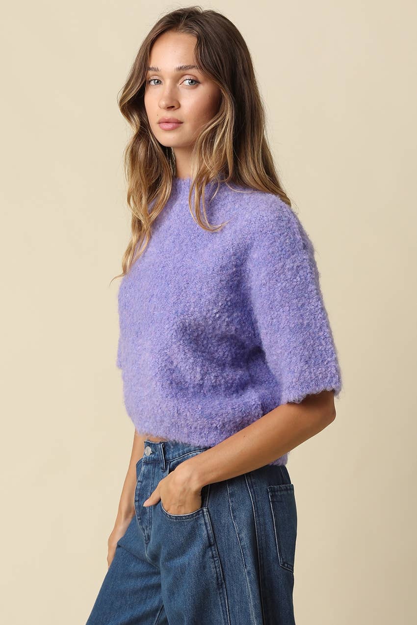 Ayra Fuzzy Short Sleeve Knit Sweater