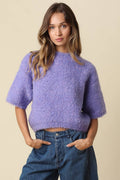 Ayra Fuzzy Short Sleeve Knit Sweater