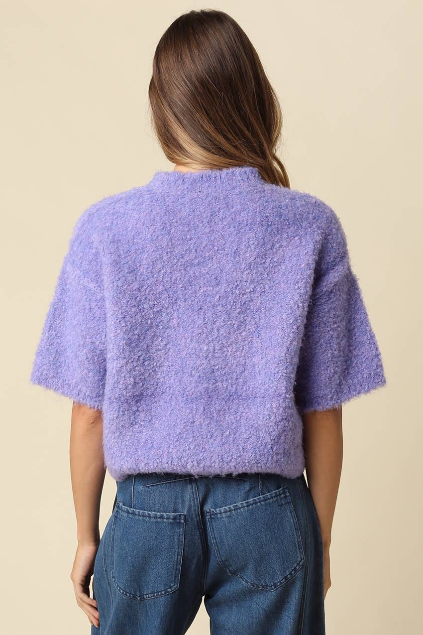 Ayra Fuzzy Short Sleeve Knit Sweater